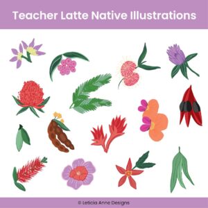 Illustrations of native flowers with the title Teacher Latte Native Illustrations